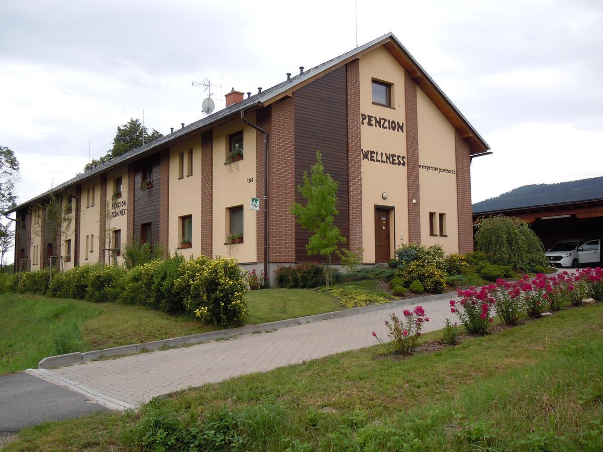 Penzion Jecminek Červená Voda 외부 사진